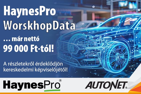 Mi az a HaynesPro WorkshopData?